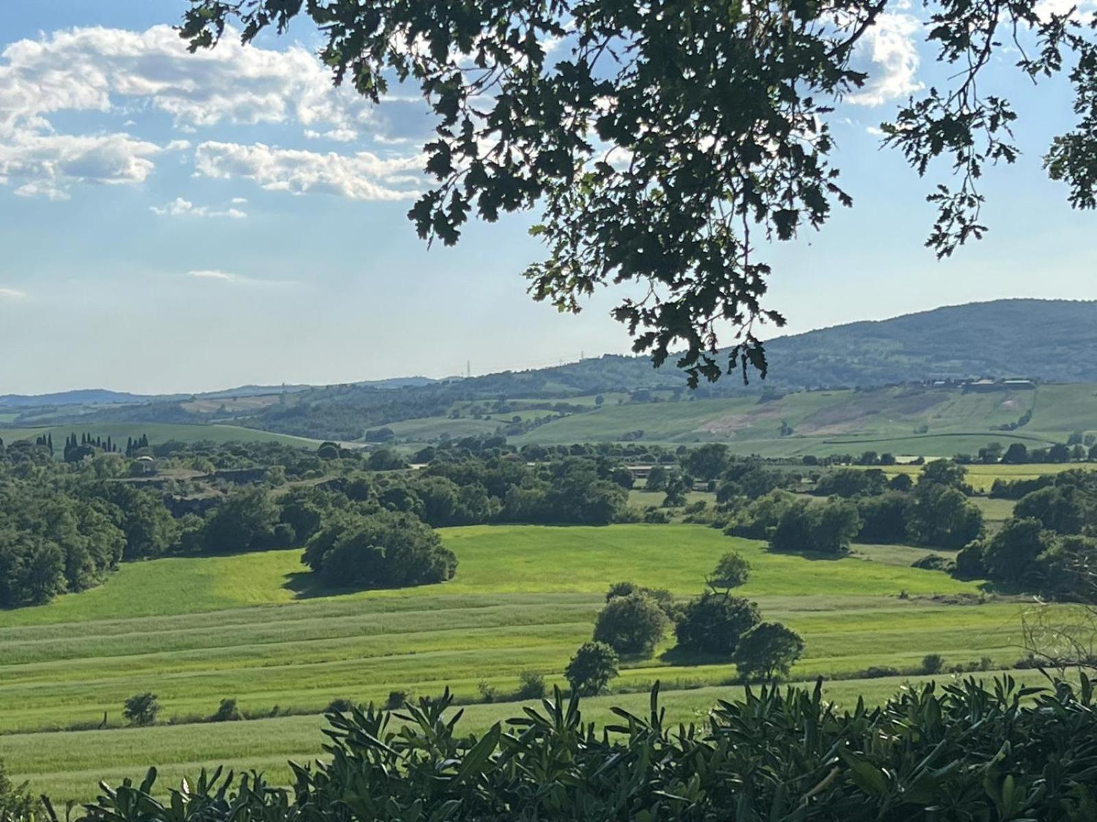 Agriturismo La Castellina Saturnia Eksteriør bilde