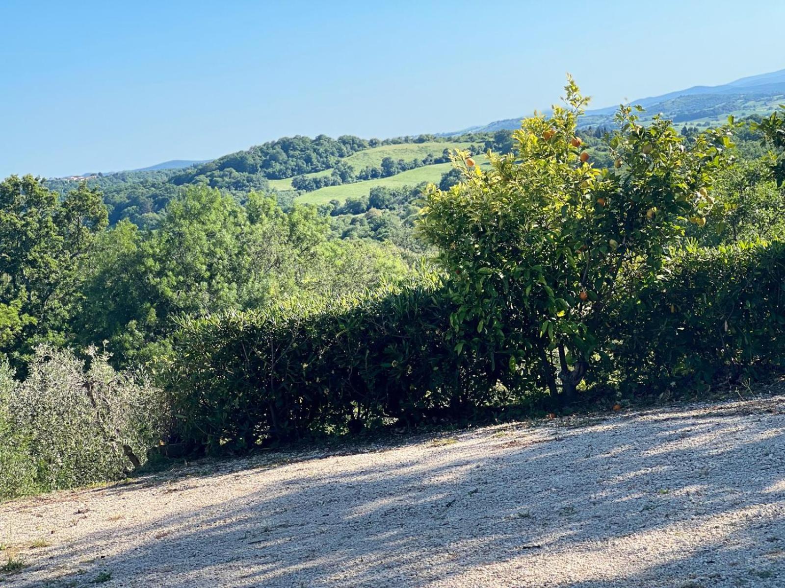 Agriturismo La Castellina Saturnia Eksteriør bilde