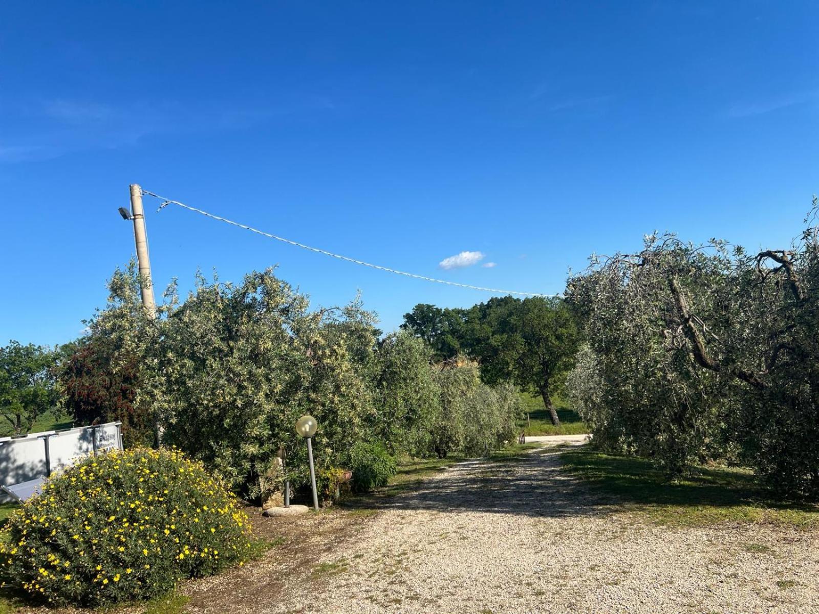 Agriturismo La Castellina Saturnia Eksteriør bilde